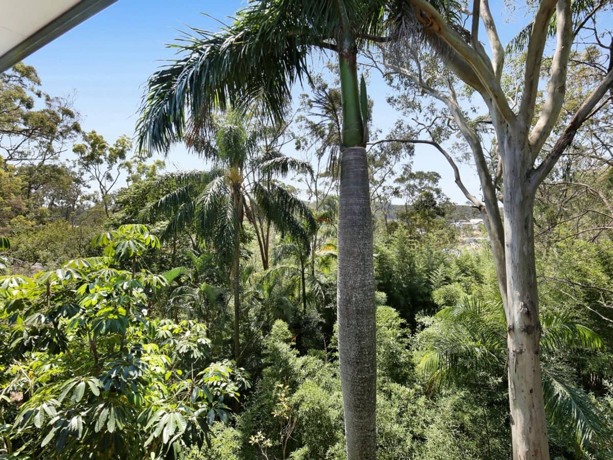 64 Fenton Drive, Tallebudgera - Thumbnail 18