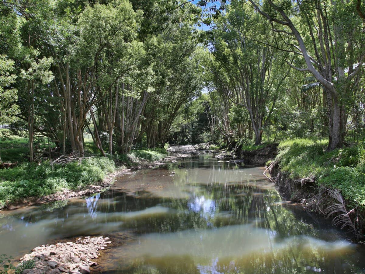 1039 Currumbin Creek Road, Currumbin Valley - Thumbnail 4