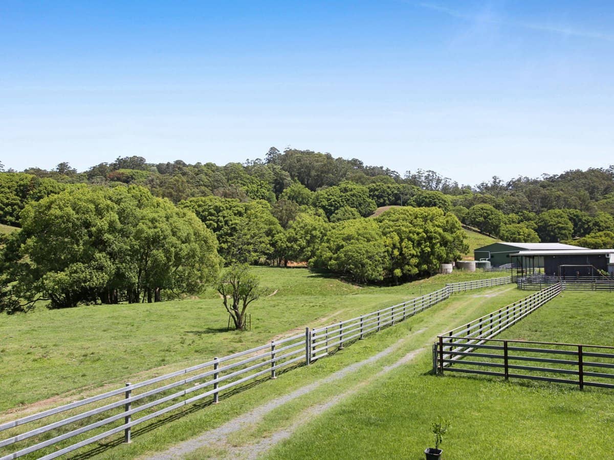 1039 Currumbin Creek Road, Currumbin Valley - Thumbnail 13