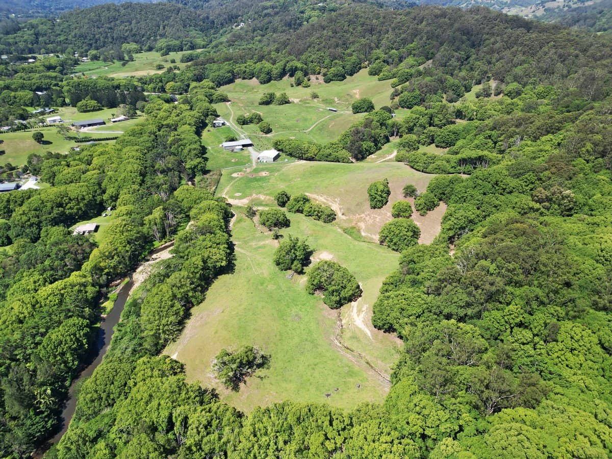 1039 Currumbin Creek Road, Currumbin Valley - Thumbnail 16