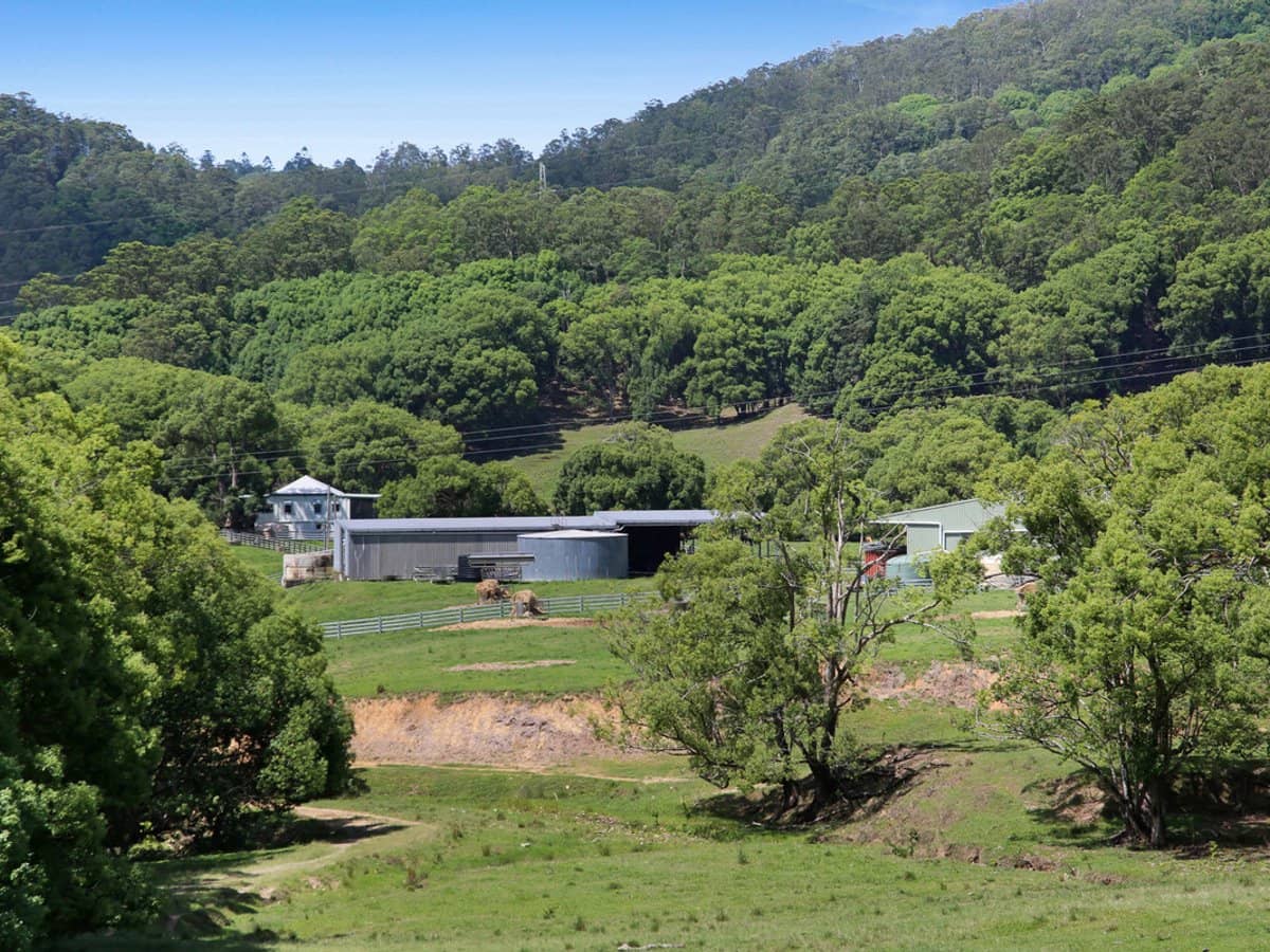 1039 Currumbin Creek Road, Currumbin Valley - Thumbnail 20