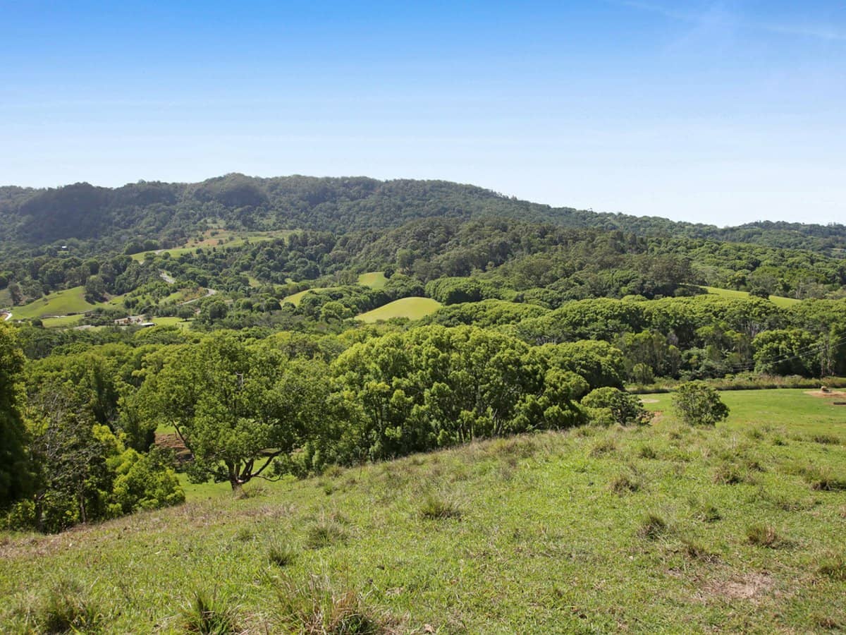 1039 Currumbin Creek Road, Currumbin Valley - Thumbnail 22