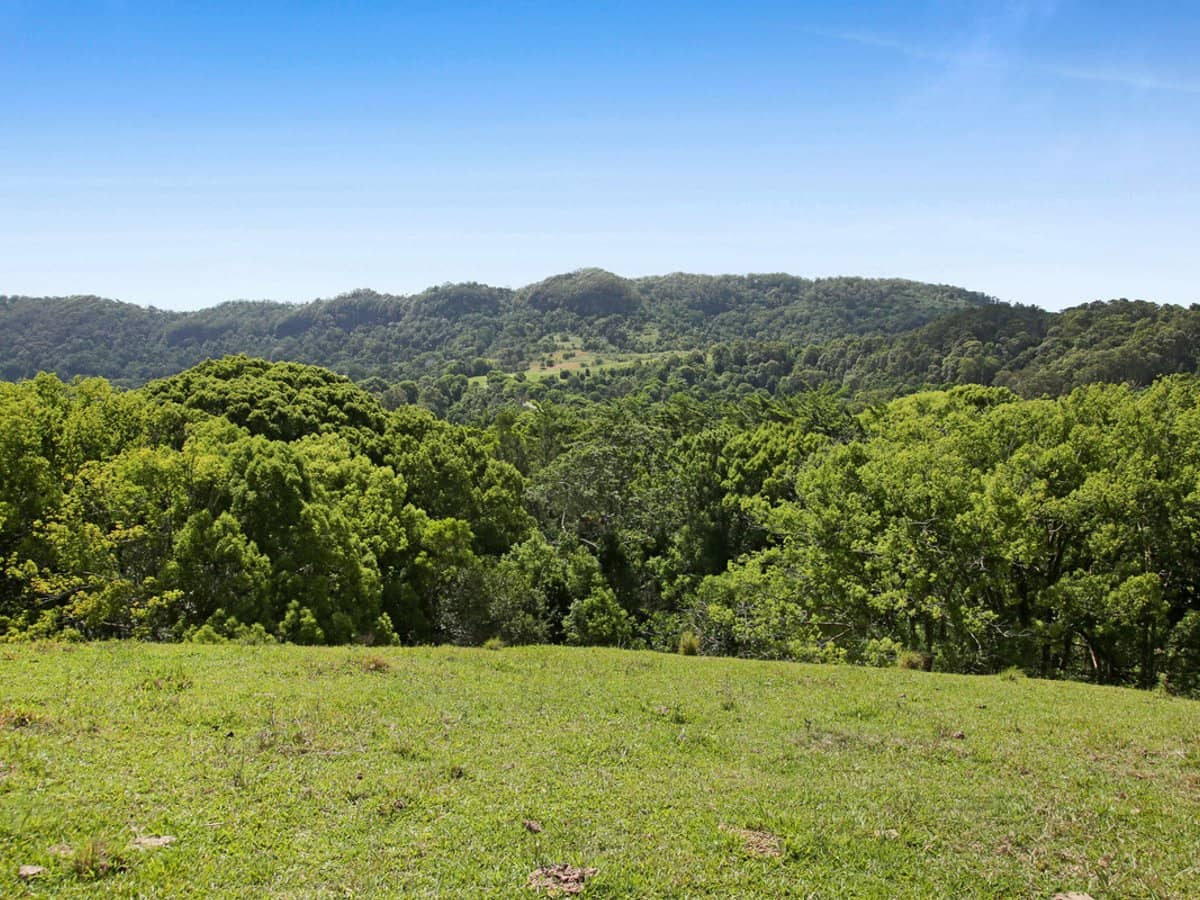1039 Currumbin Creek Road, Currumbin Valley - Thumbnail 23