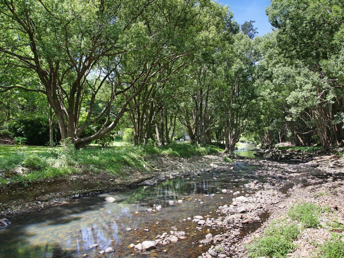 1039 Currumbin Creek Road, Currumbin Valley - Thumbnail 27