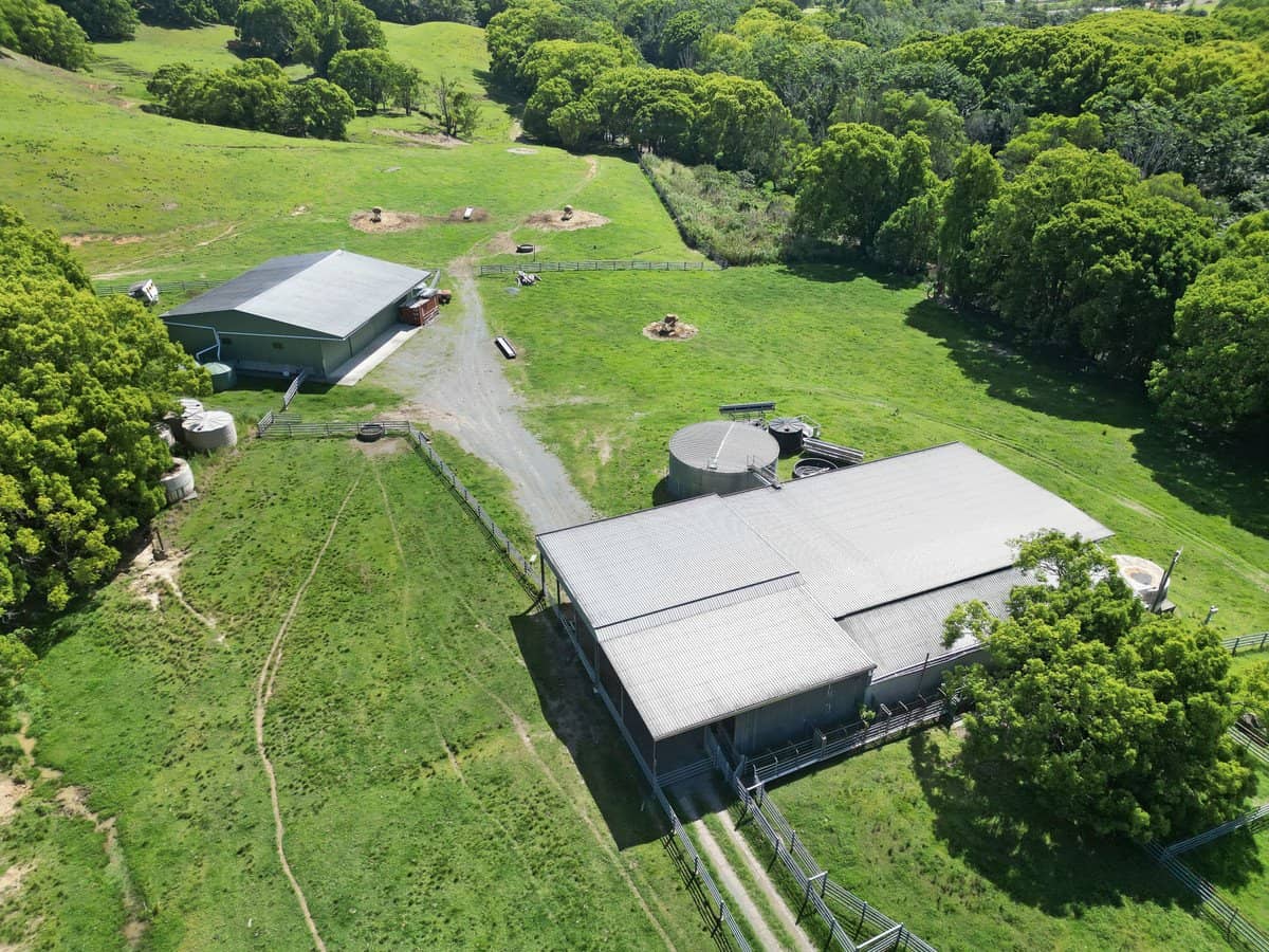 1039 Currumbin Creek Road, Currumbin Valley - Thumbnail 14