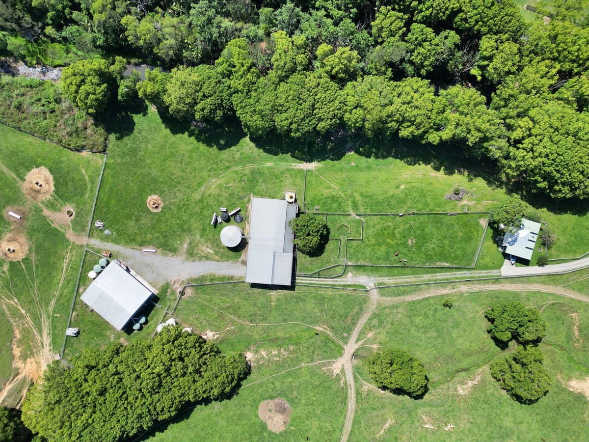 1039 Currumbin Creek Road, Currumbin Valley - Thumbnail 15