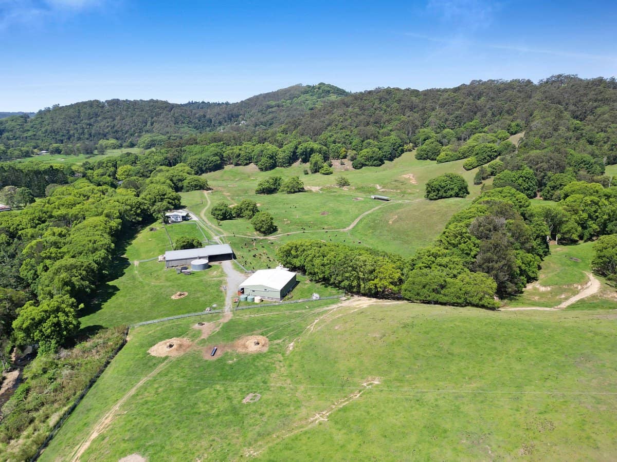 1039 Currumbin Creek Road, Currumbin Valley - Thumbnail 18