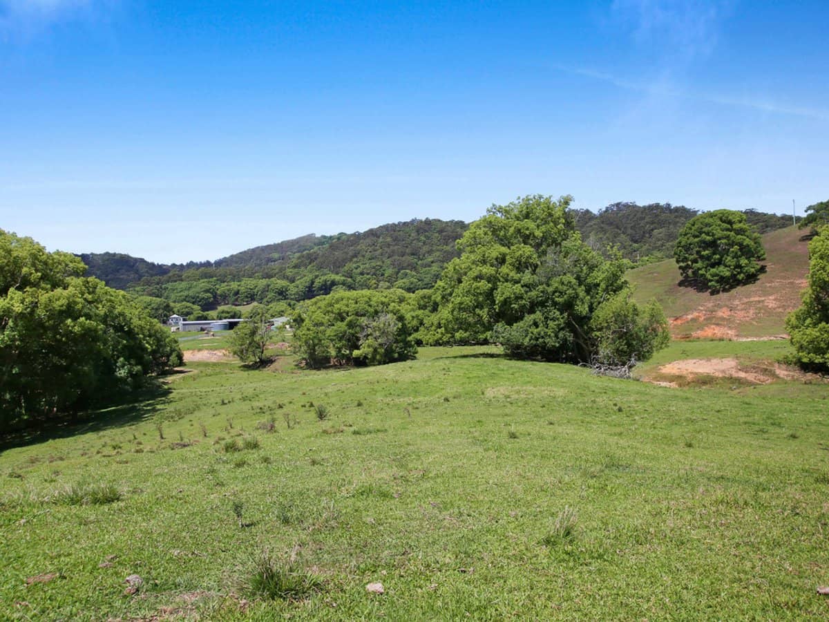 1039 Currumbin Creek Road, Currumbin Valley - Thumbnail 19