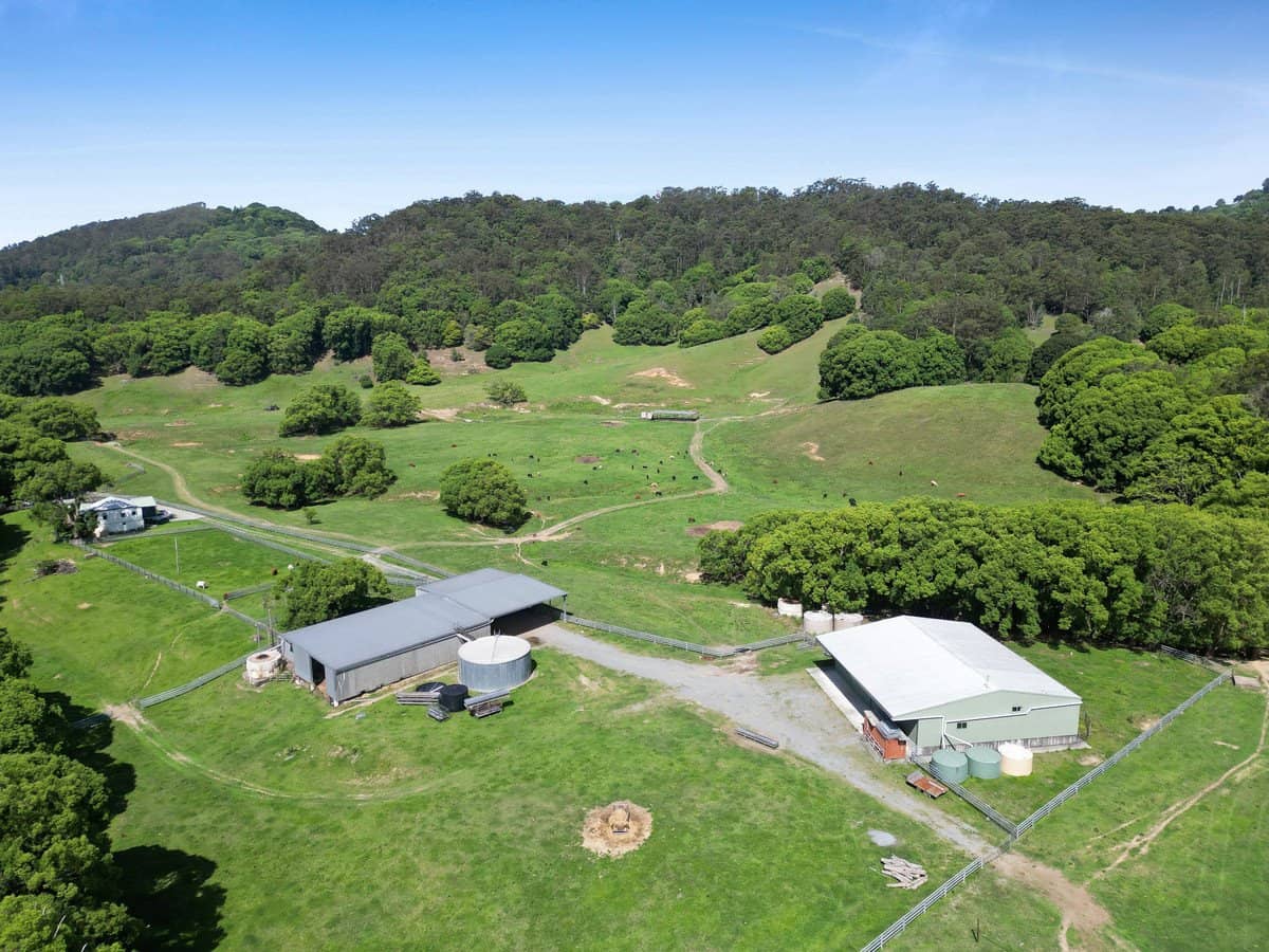 1039 Currumbin Creek Road, Currumbin Valley - Thumbnail 21