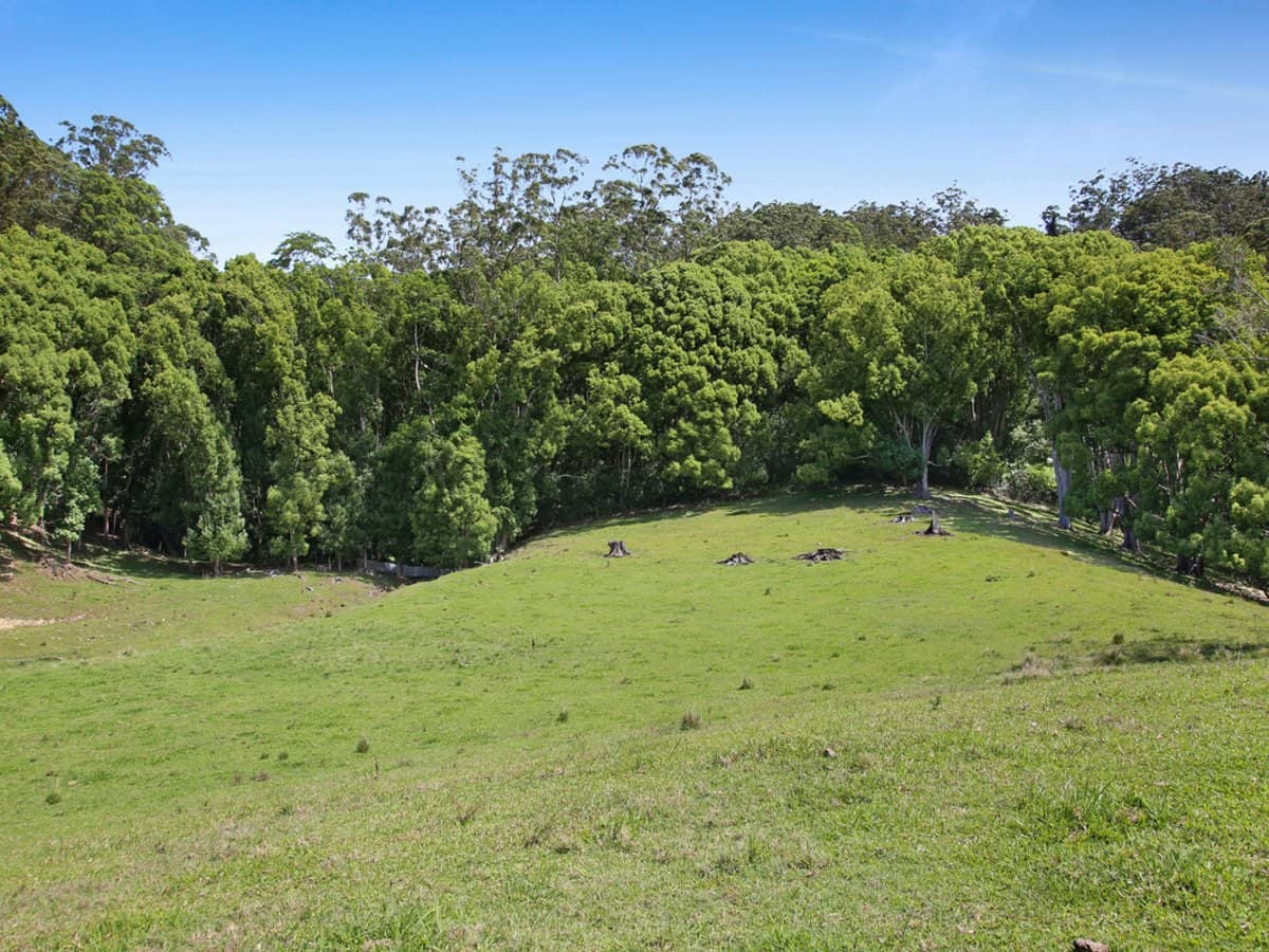 1039 Currumbin Creek Road, Currumbin Valley - Thumbnail 24