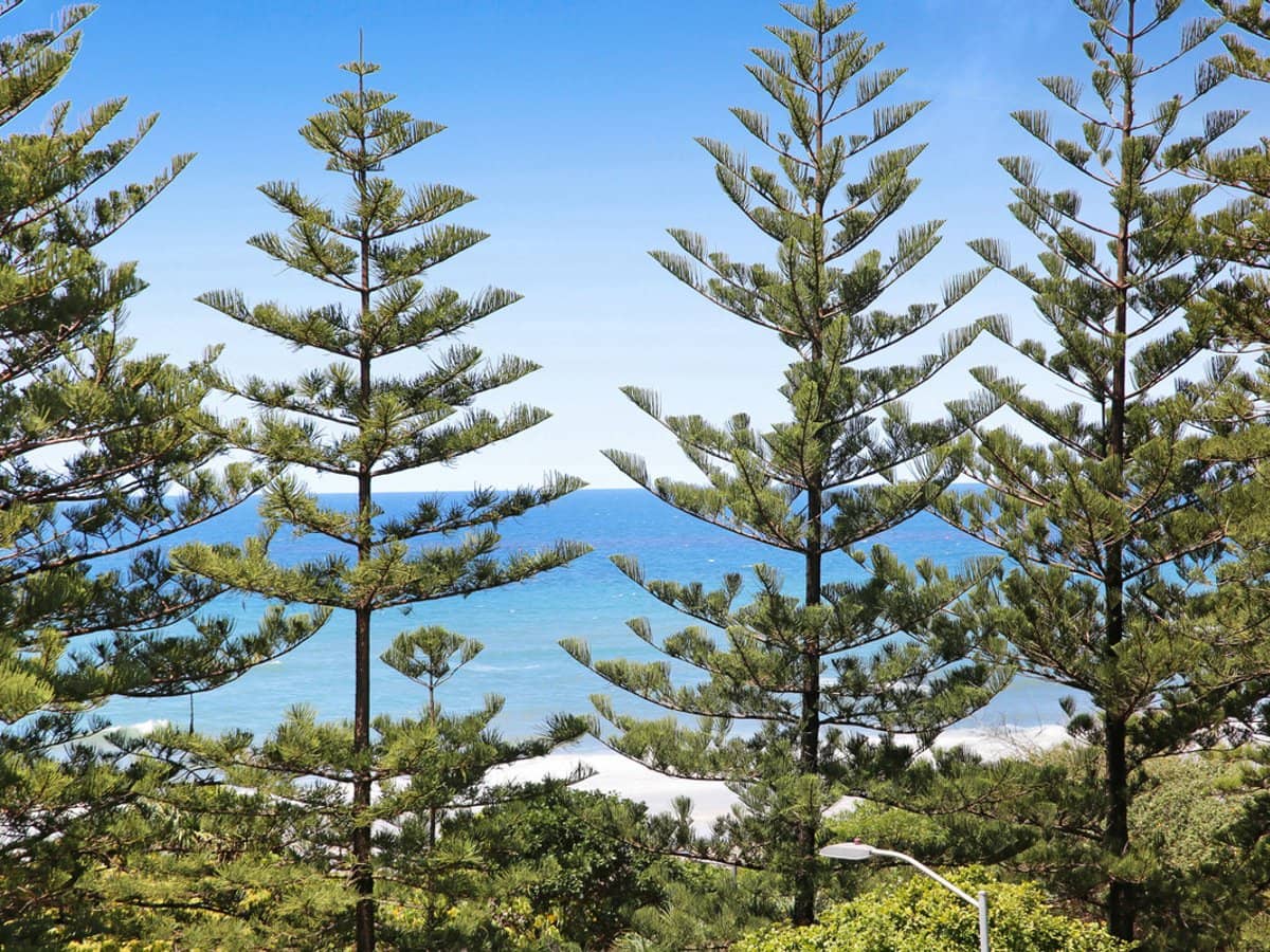 238 The Esplanade, Burleigh Heads - Thumbnail 2