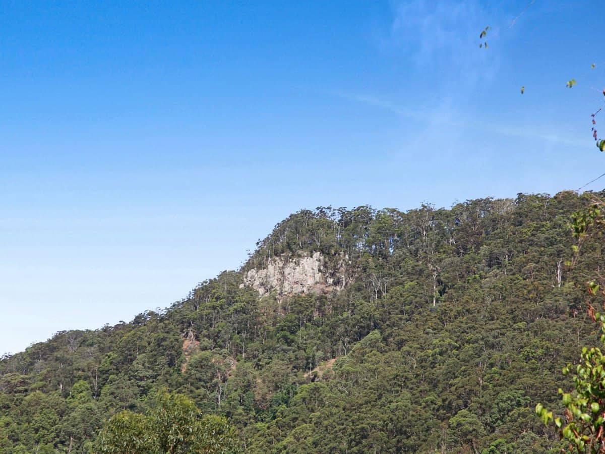 Petsch Creek Road, Tallebudgera Valley - Thumbnail 6