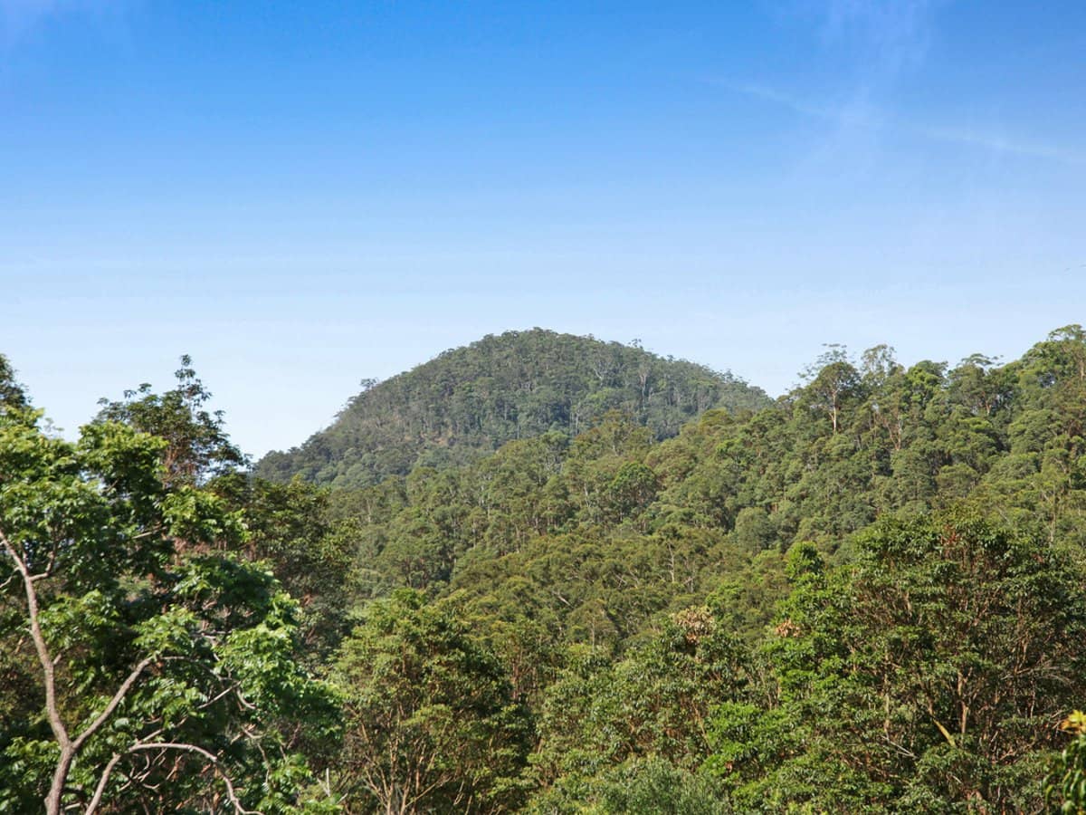 Petsch Creek Road, Tallebudgera Valley - Thumbnail 15