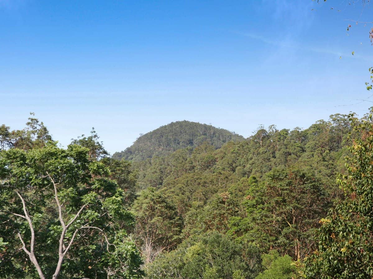Petsch Creek Road, Tallebudgera Valley - Thumbnail 16