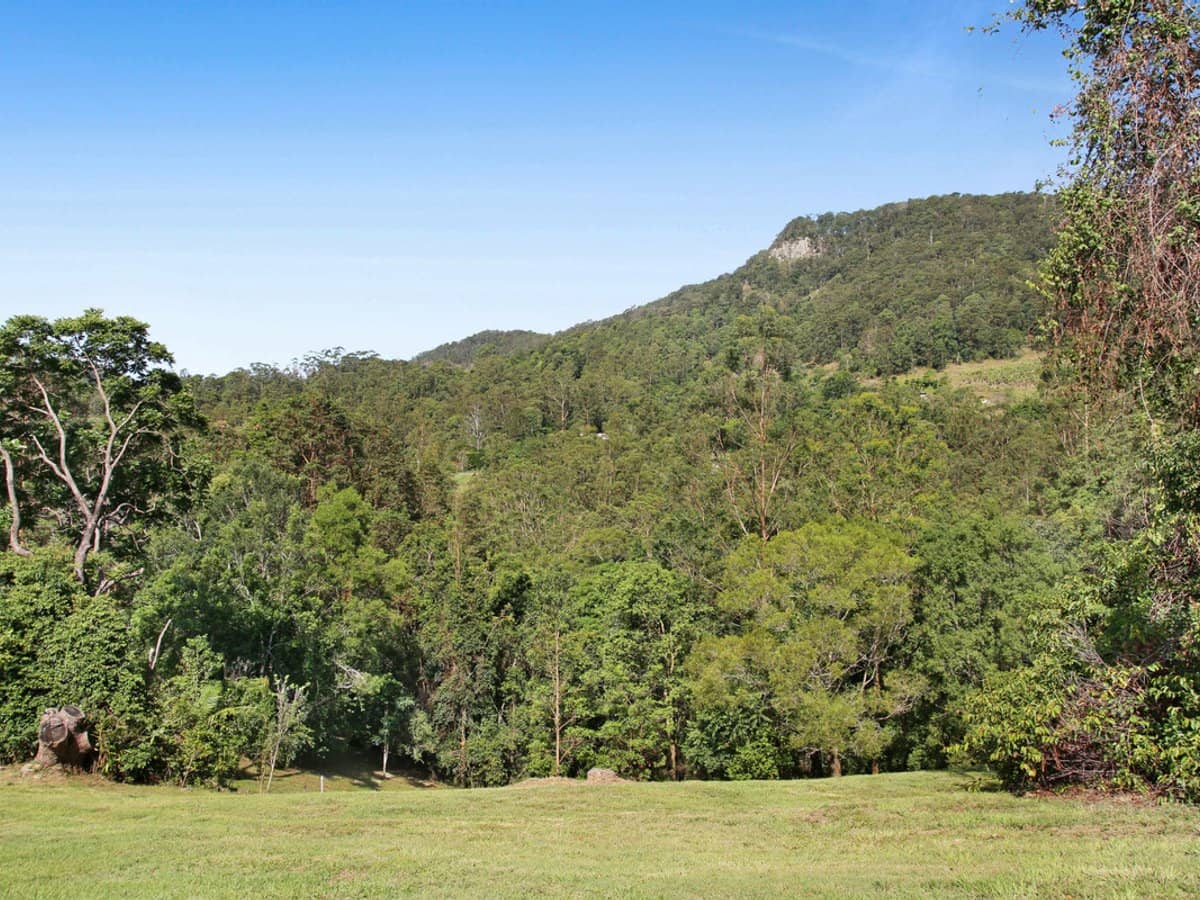 Petsch Creek Road, Tallebudgera Valley - Thumbnail 17