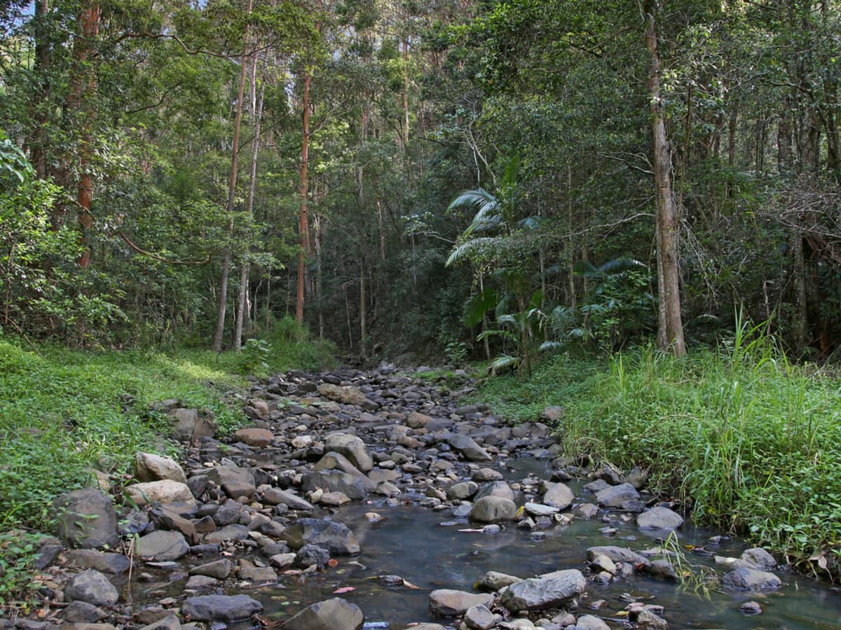 Petsch Creek Road, Tallebudgera Valley - Thumbnail 18