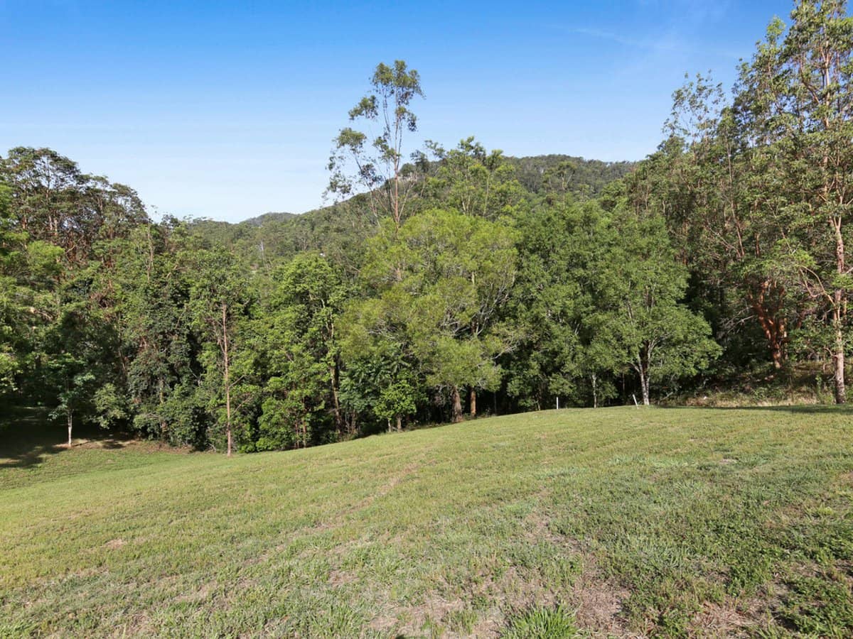 Petsch Creek Road, Tallebudgera Valley - Thumbnail 14