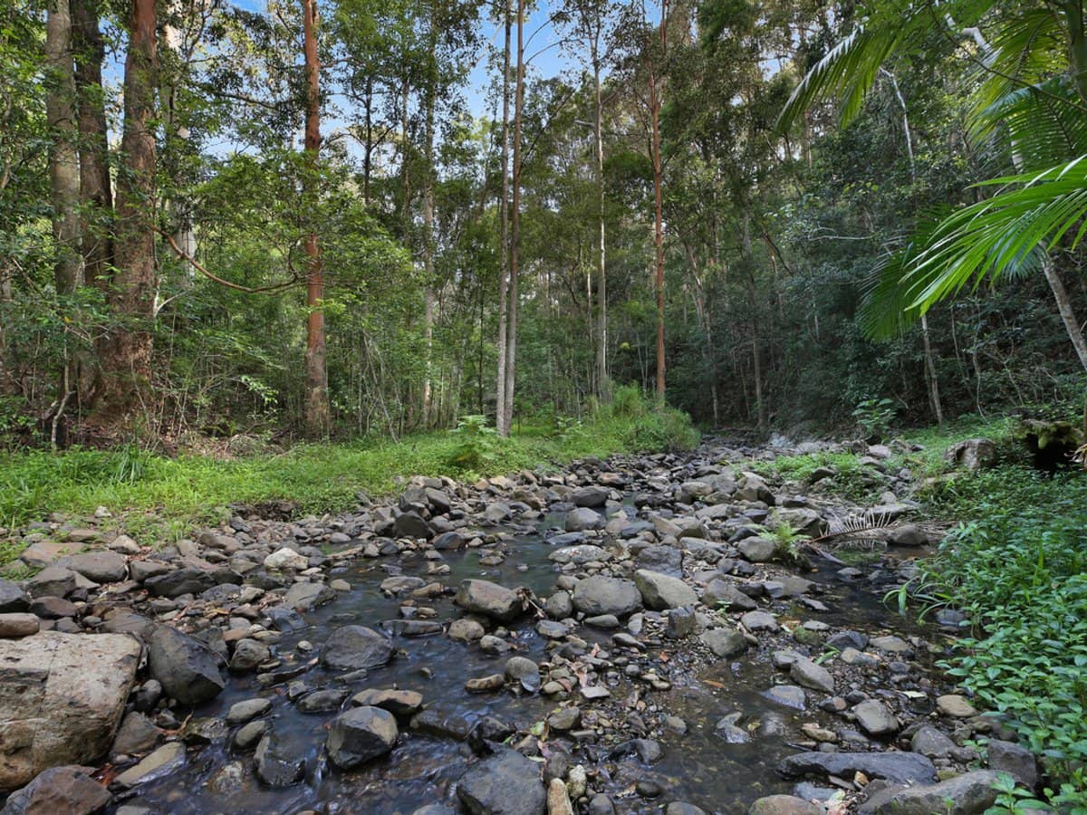 Petsch Creek Road, Tallebudgera Valley - Thumbnail 19