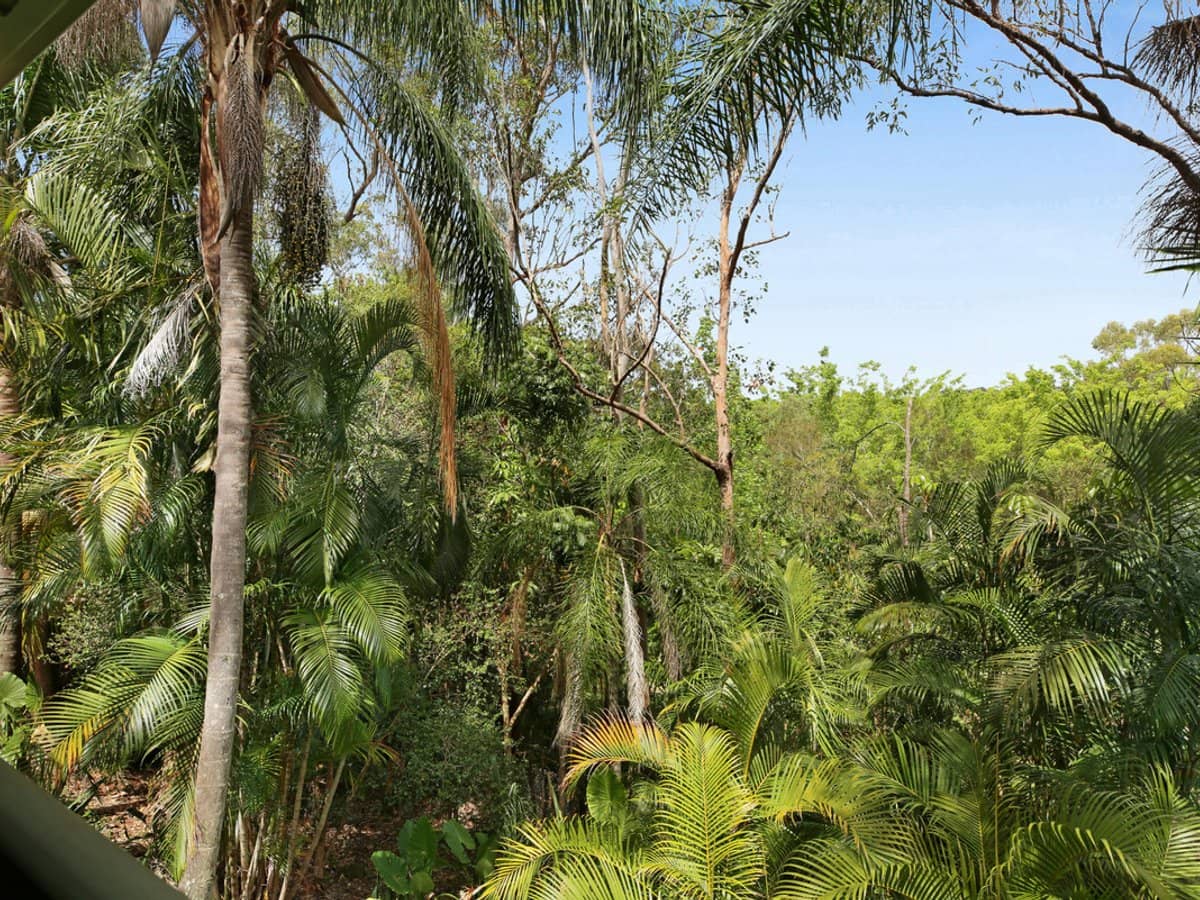 2 Ronelle Court, TALLEBUDGERA - Thumbnail 31