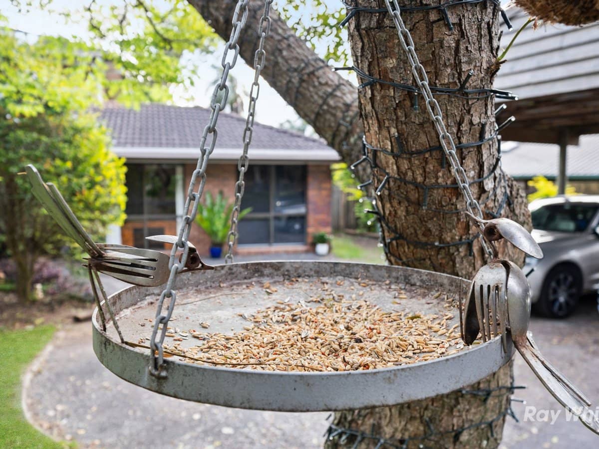 337A Springwood Road, SPRINGWOOD - Thumbnail 28