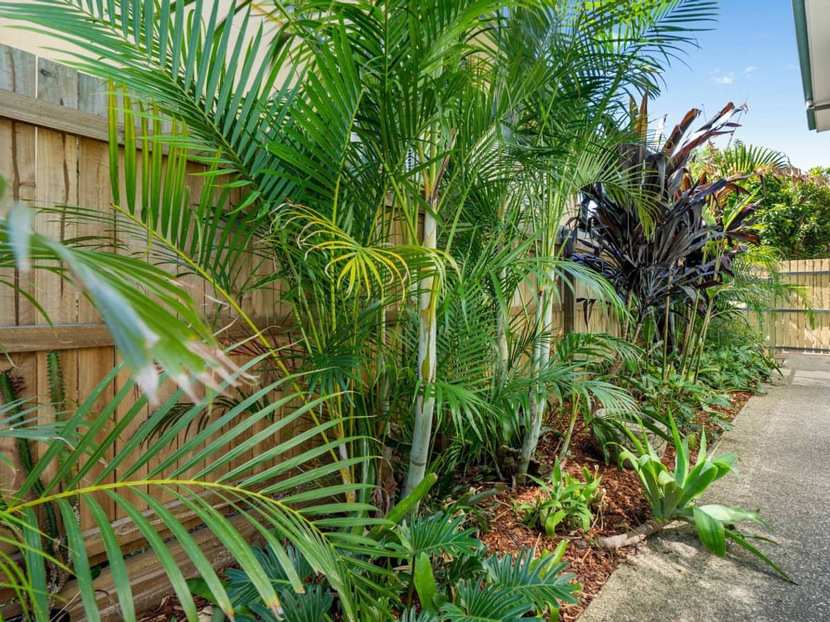 316 Long Street East, Graceville - Thumbnail 21