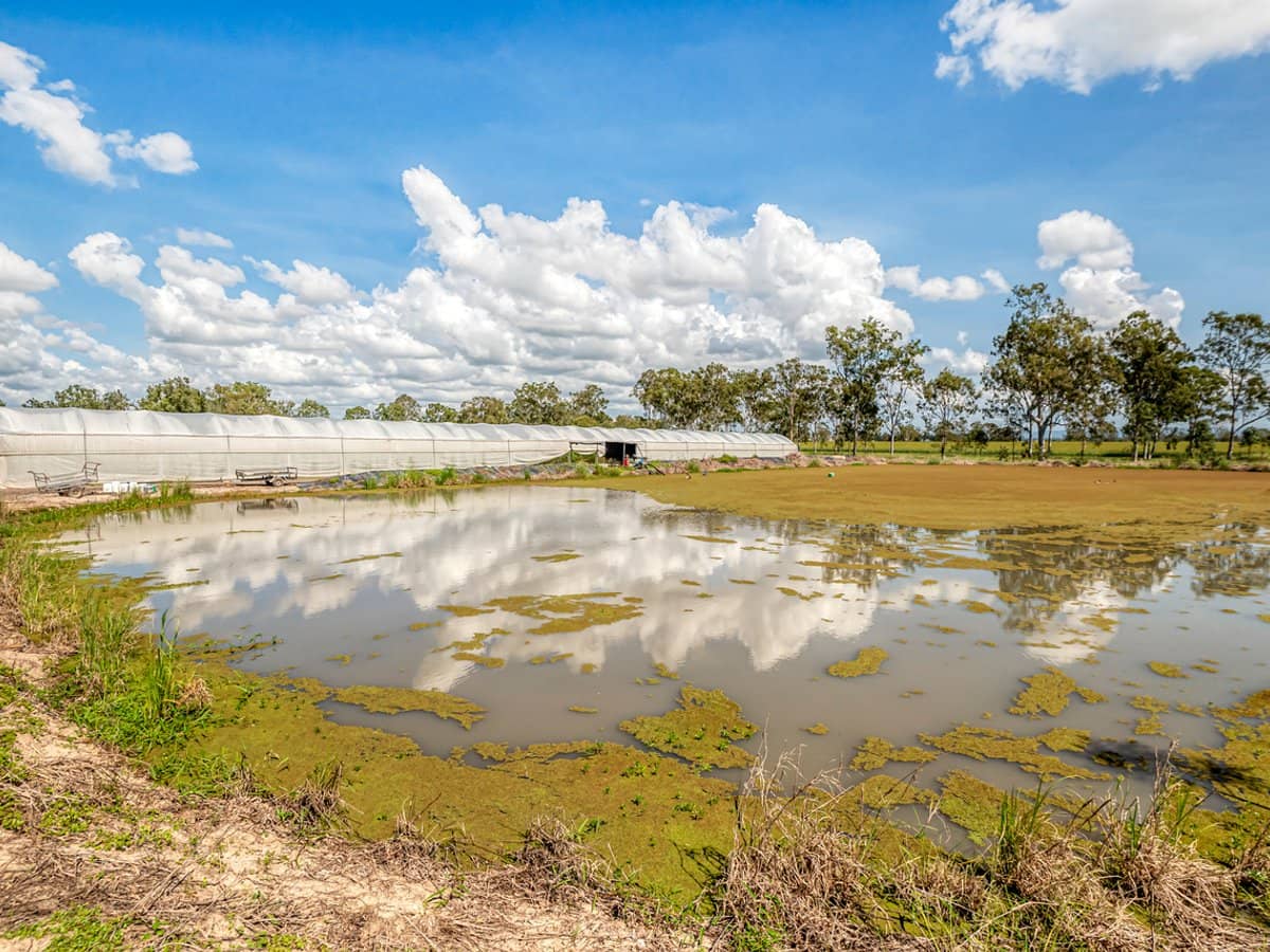 514 Clarendon Road, CLARENDON - Thumbnail 16