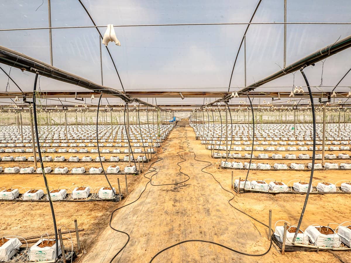 514 Clarendon Road, CLARENDON - Thumbnail 17