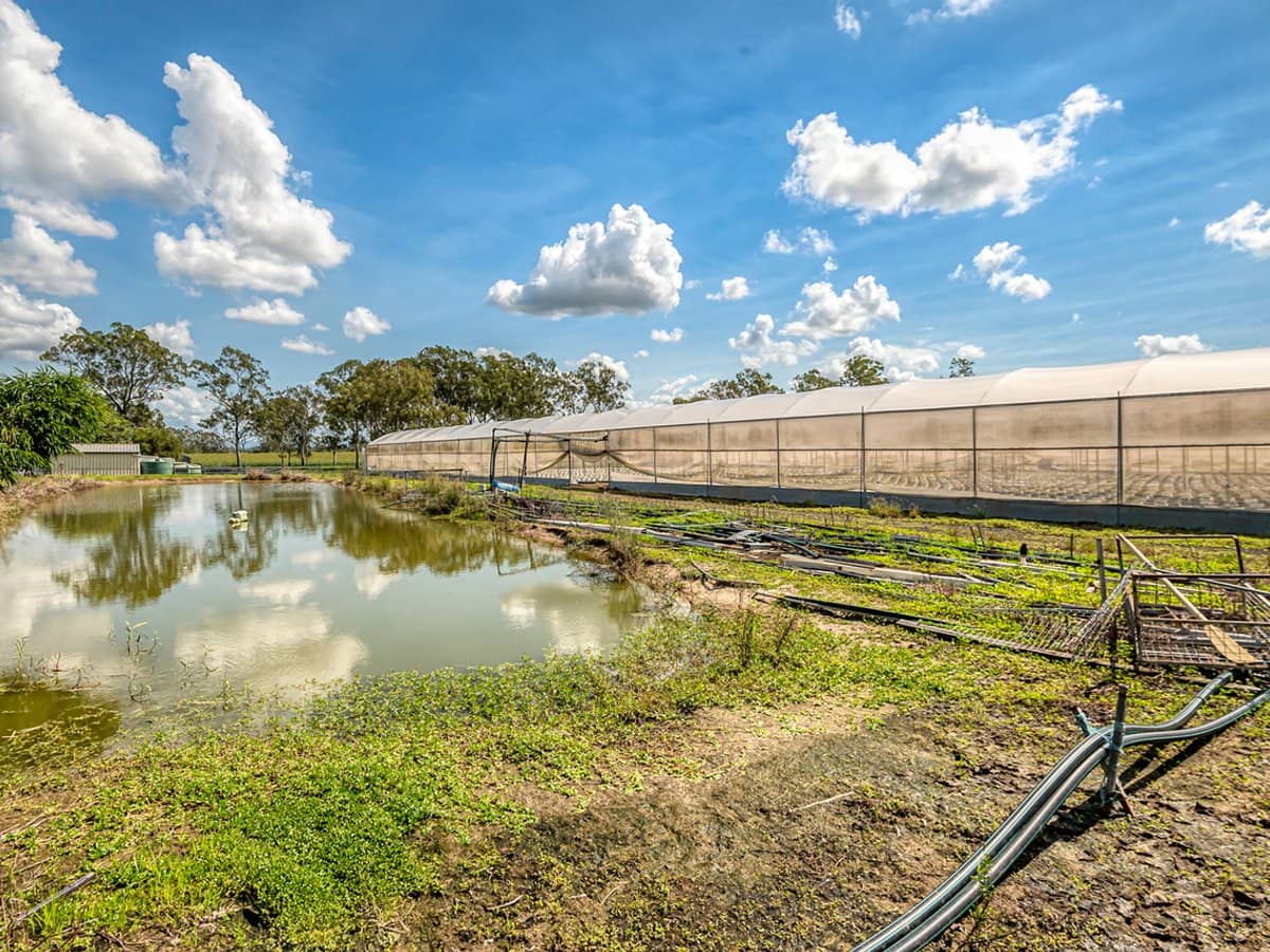 514 Clarendon Road, CLARENDON - Thumbnail 19