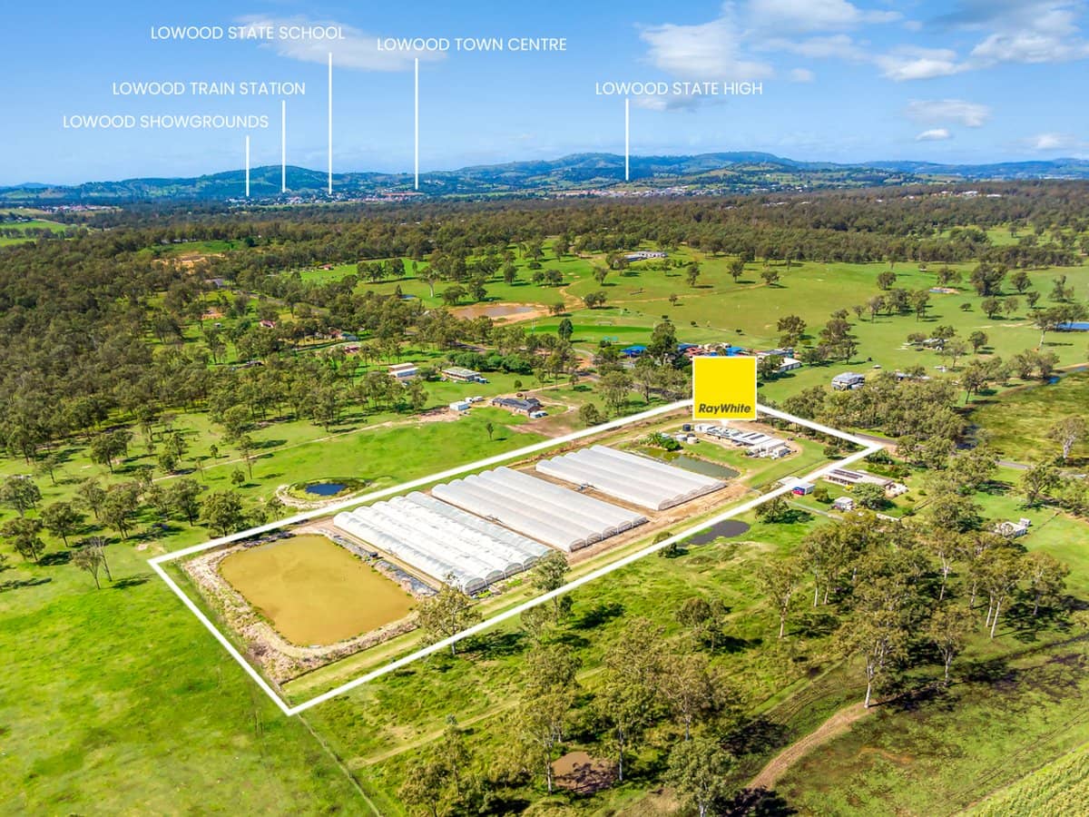 514 Clarendon Road, CLARENDON - Thumbnail 20