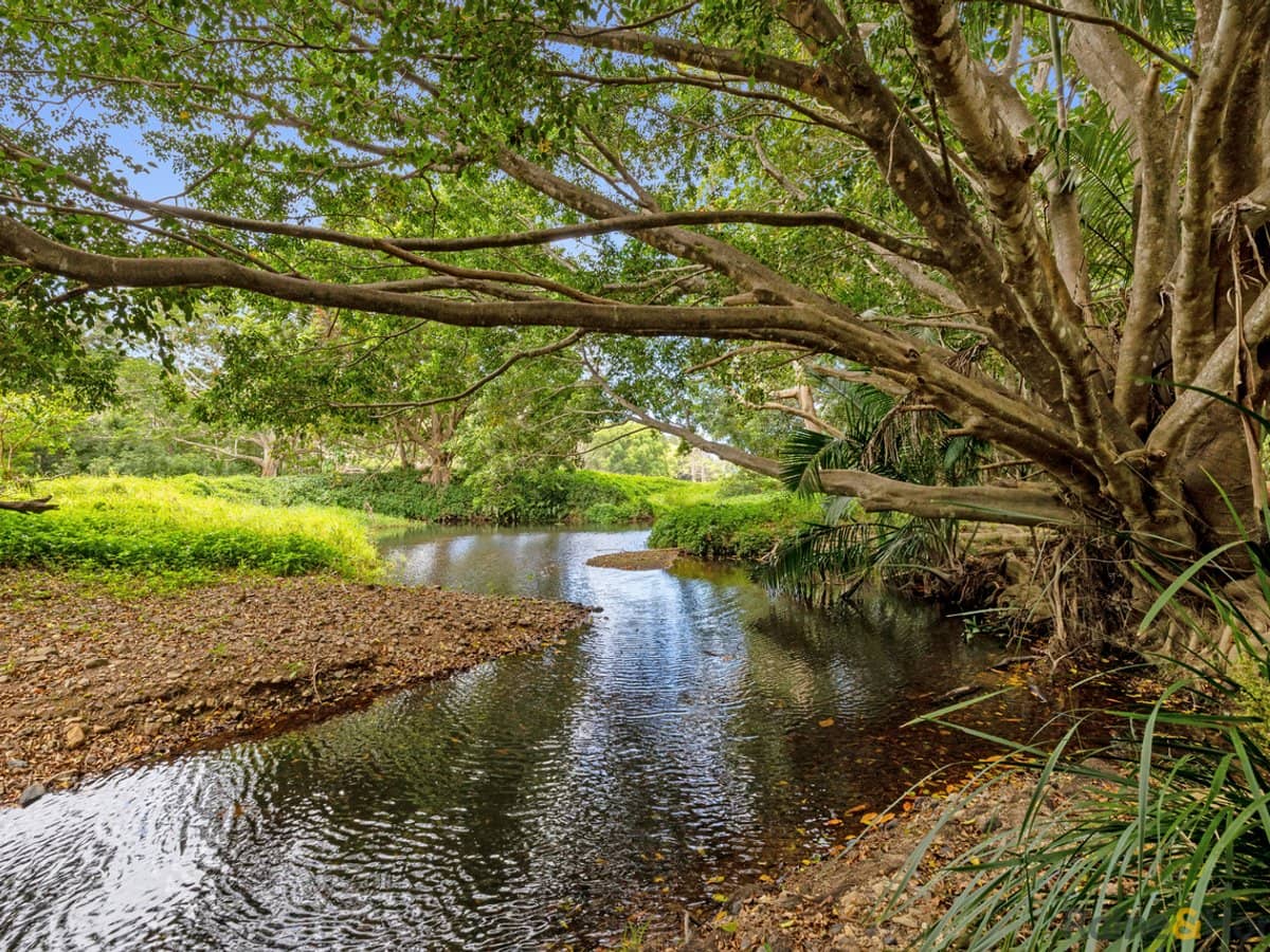 861 Cudgera Creek Road, CUDGERA CREEK - Thumbnail 7