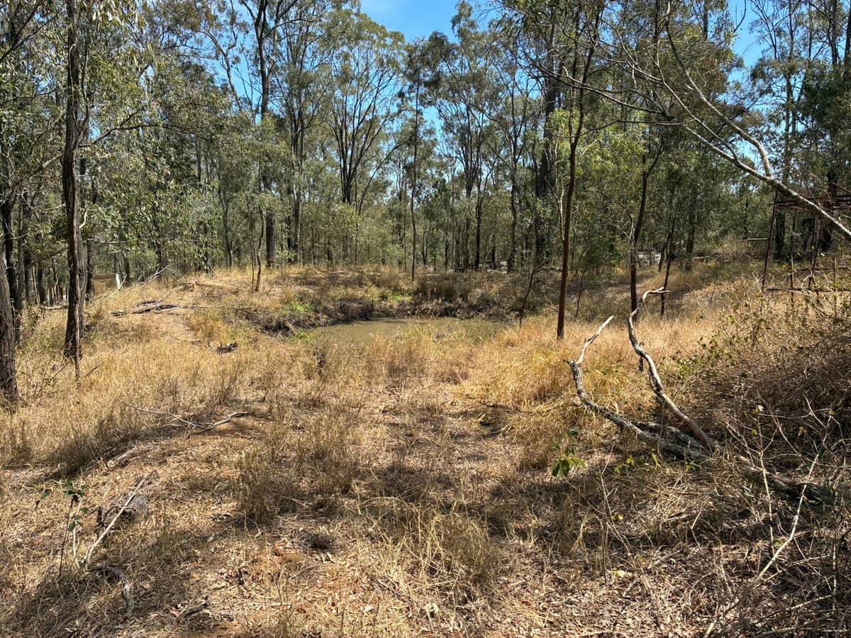 2595 Forest Hill Fernvale Road, RIFLE RANGE - Thumbnail 4