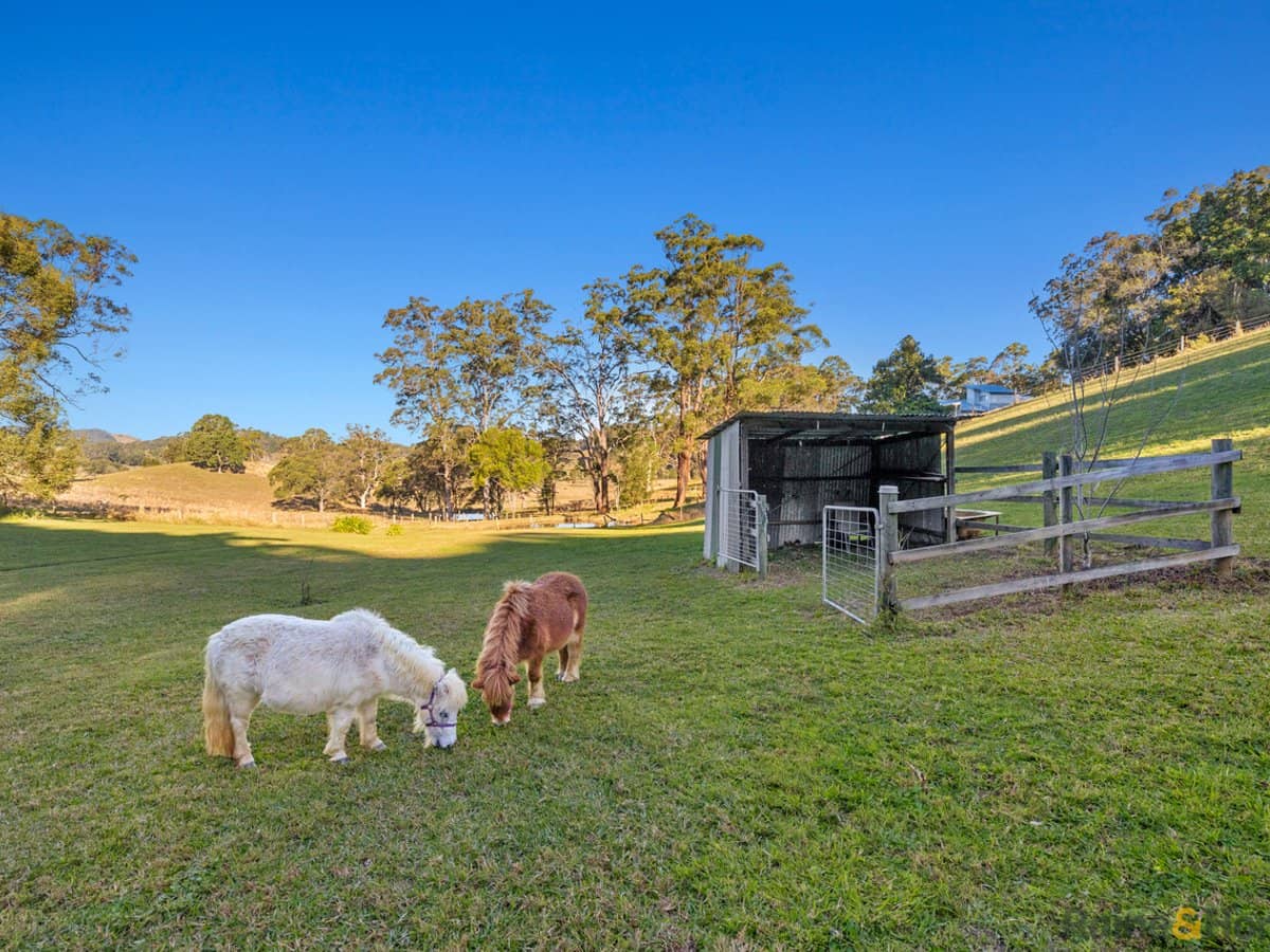 55 Wallum Court, RESERVE CREEK - Thumbnail 2