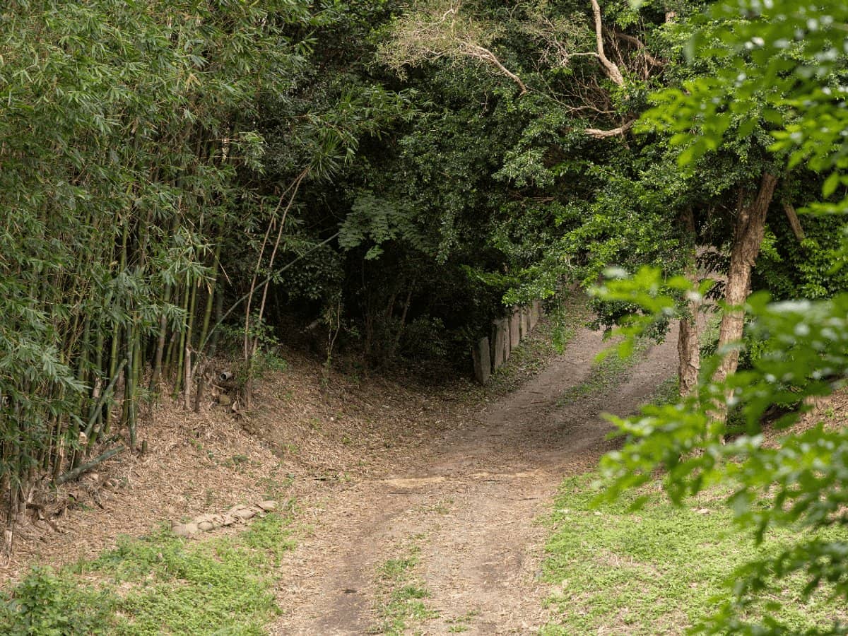 20 Nakula Street, GAVEN - Thumbnail 23