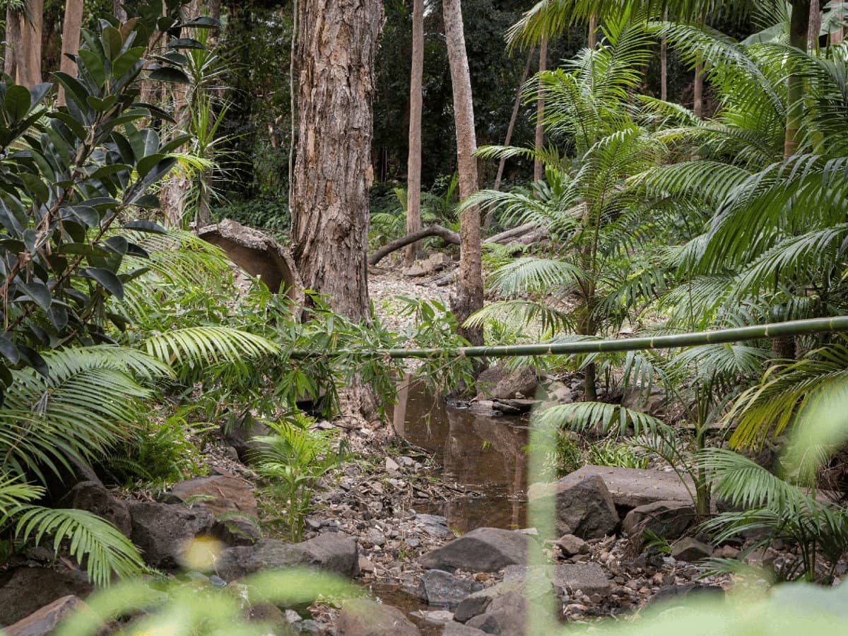 20 Nakula Street, GAVEN - Thumbnail 28