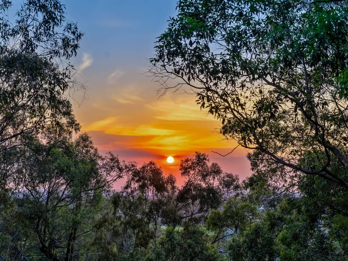 21 Range Drive, TANAH MERAH - Thumbnail 21