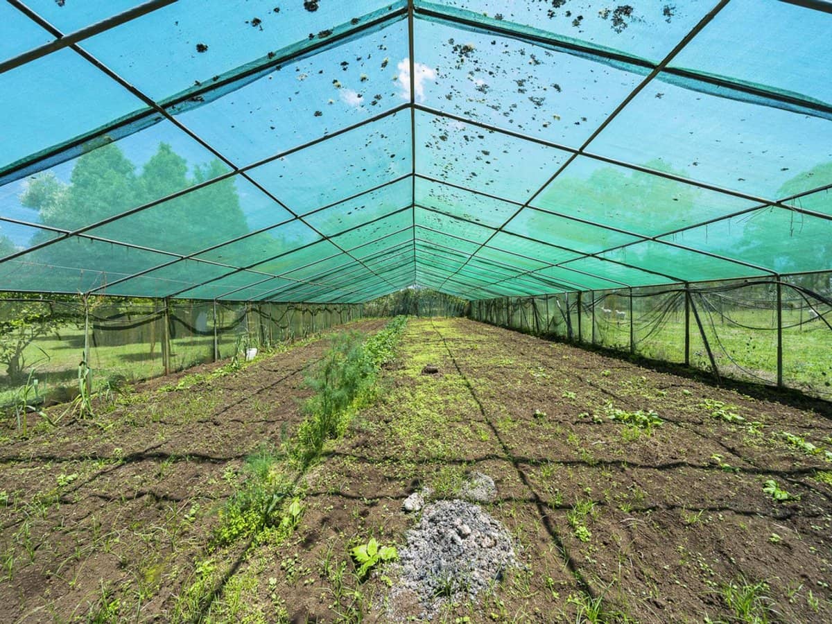 145 Crumpton Drive, BLACKBUTT - Thumbnail 24