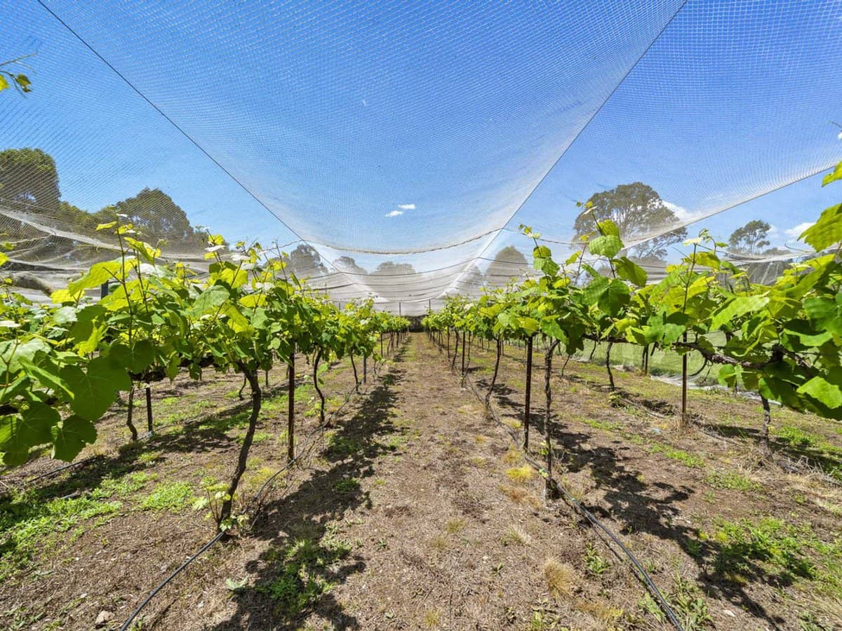 145 Crumpton Drive, BLACKBUTT - Thumbnail 25