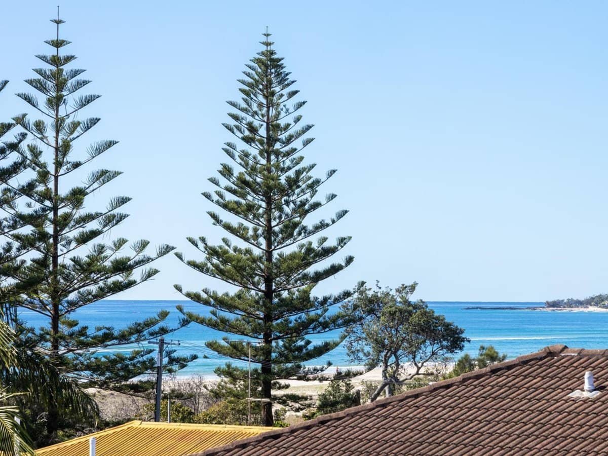 135 Golden Four Drive, BILINGA - Thumbnail 12