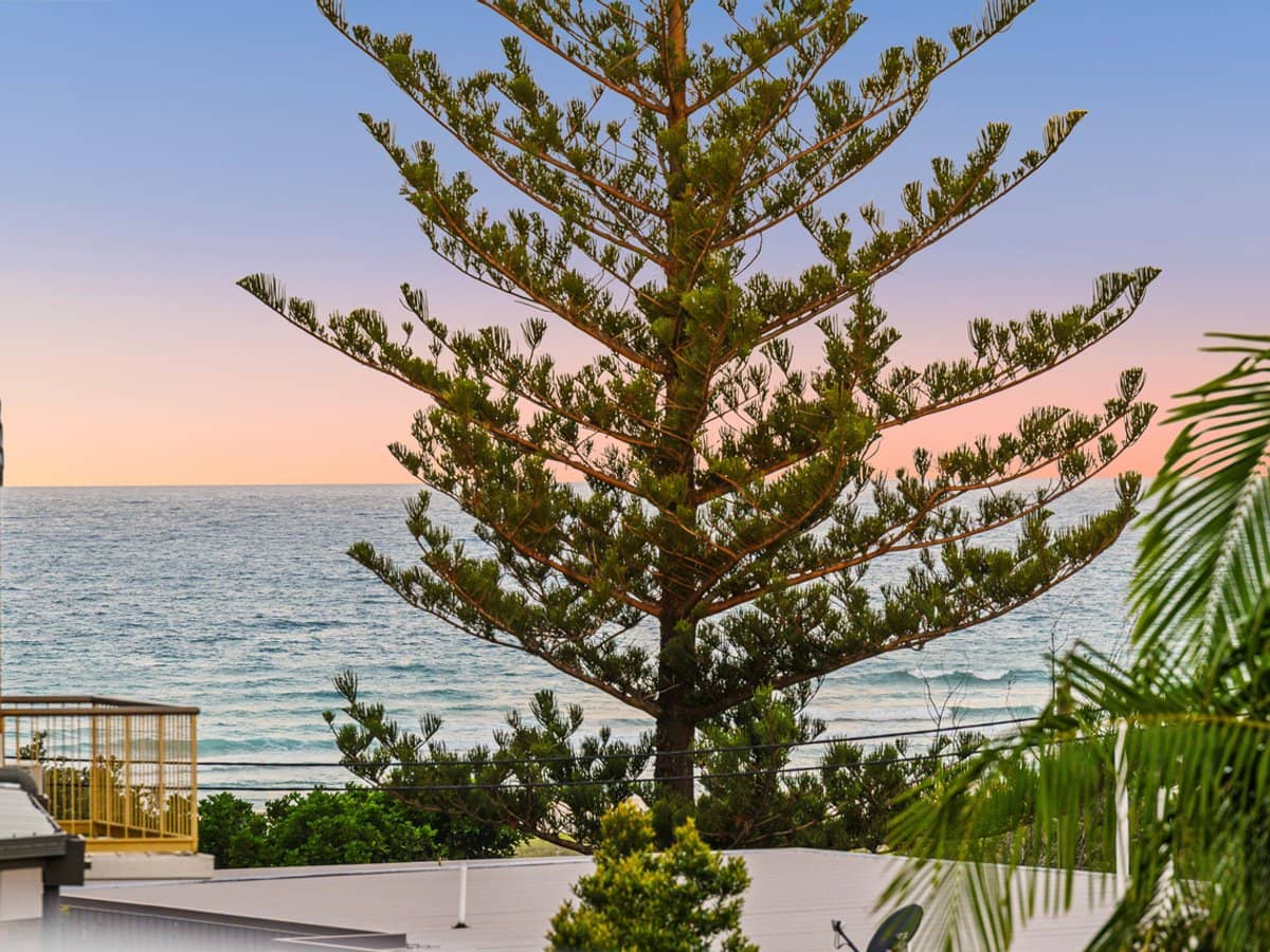 135 Golden Four Drive, BILINGA - Thumbnail 6