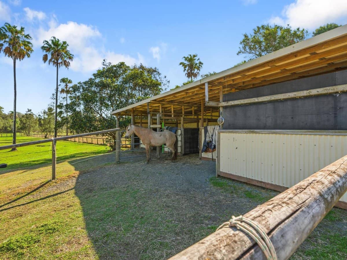 45 Larch Street, TALLEBUDGERA - Thumbnail 25