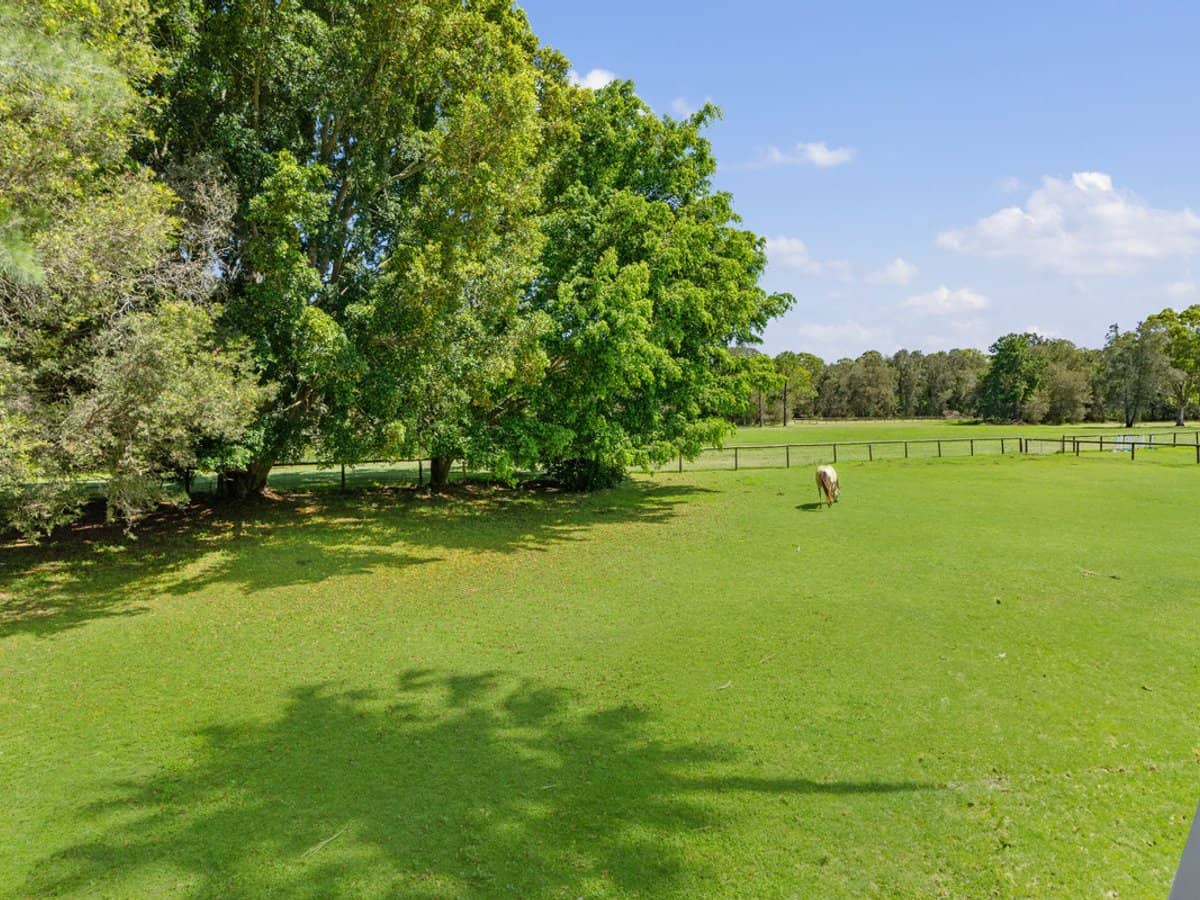 45 Larch Street, TALLEBUDGERA - Thumbnail 35