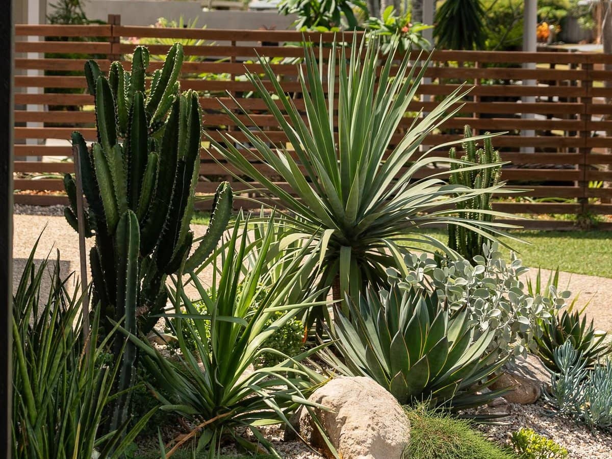 48 Togos Avenue, CURRUMBIN WATERS - Thumbnail 6