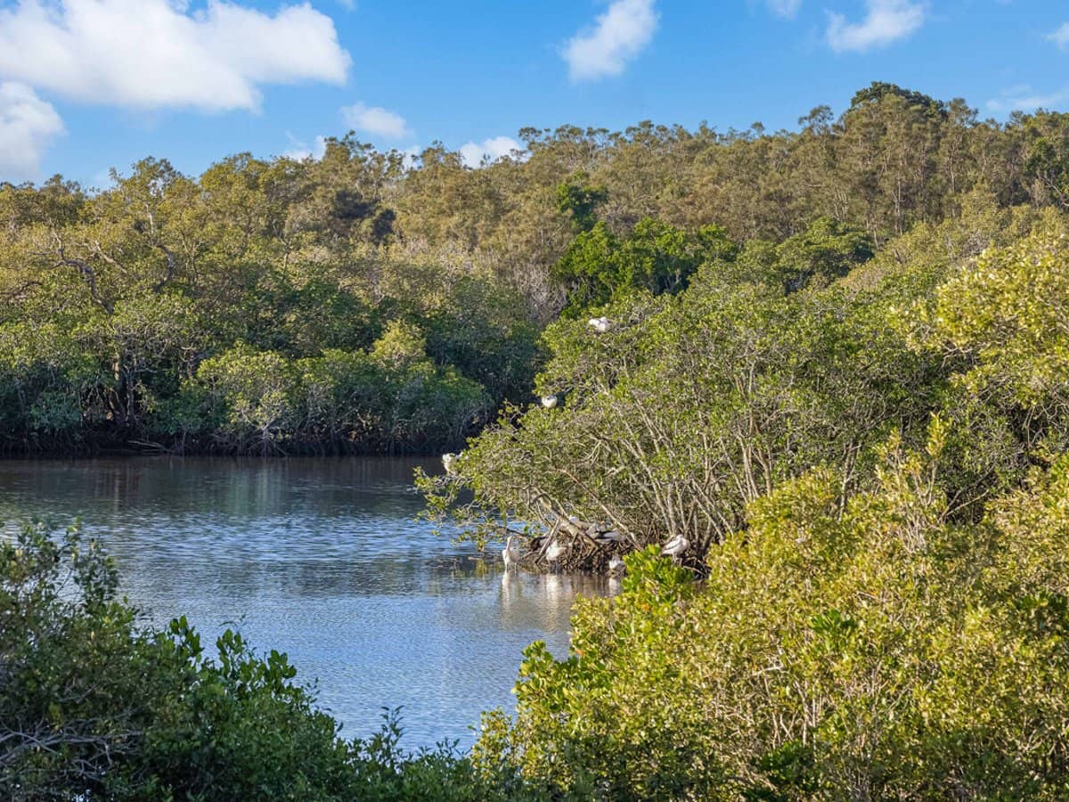 14 Water Street, TWEED HEADS SOUTH - Thumbnail 3