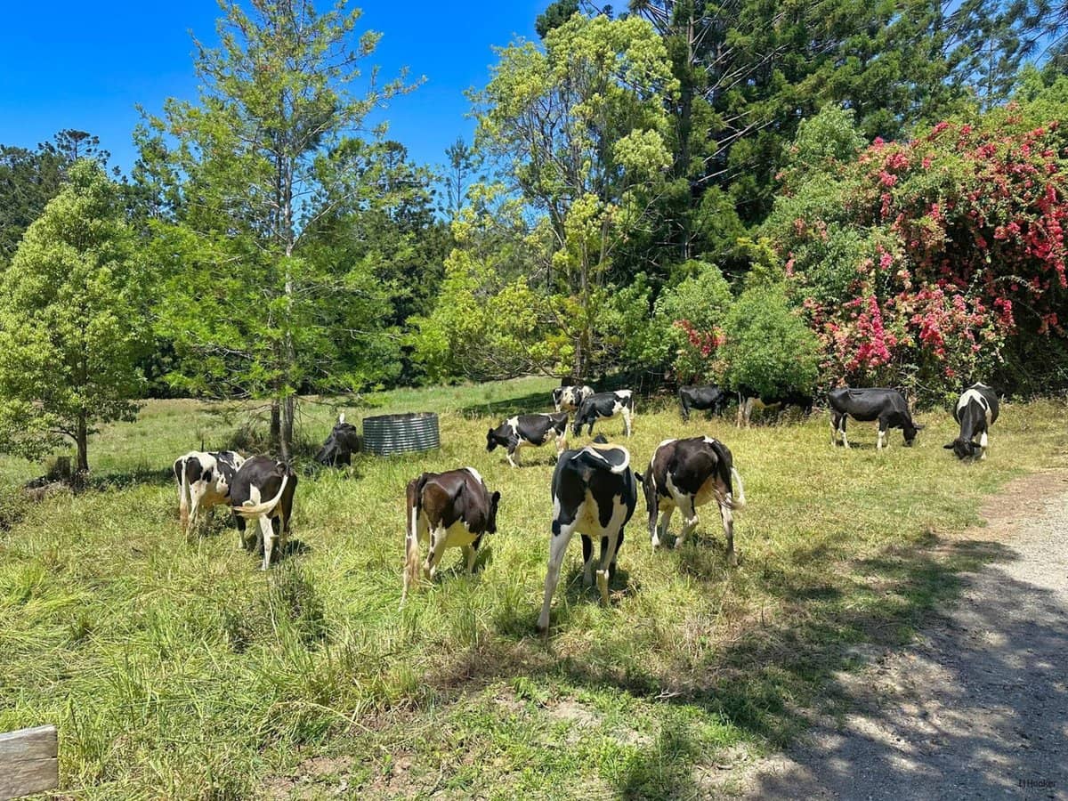 5993 Tweed Valley Way, MOOBALL - Thumbnail 7