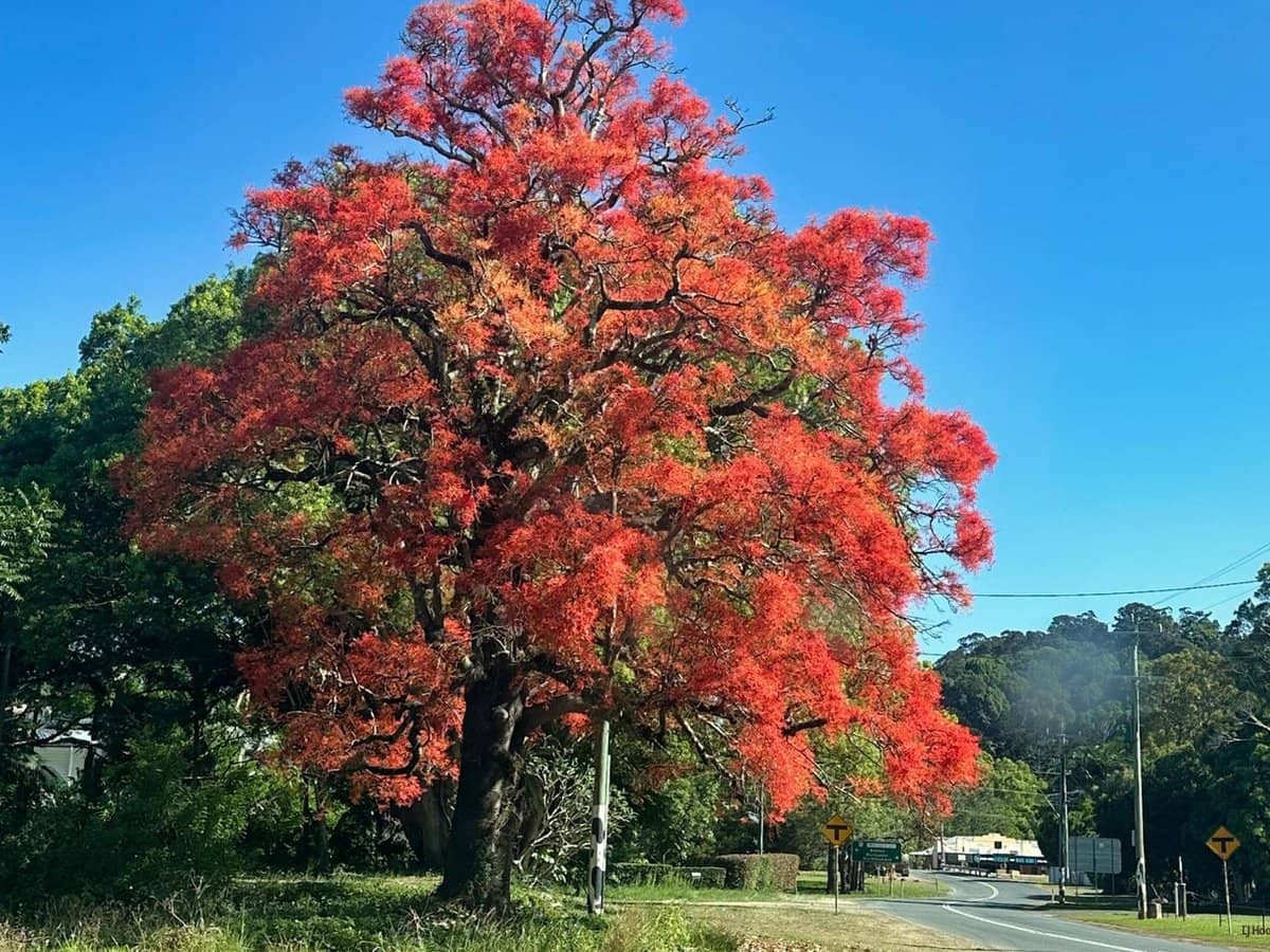 5993 Tweed Valley Way, MOOBALL - Thumbnail 12