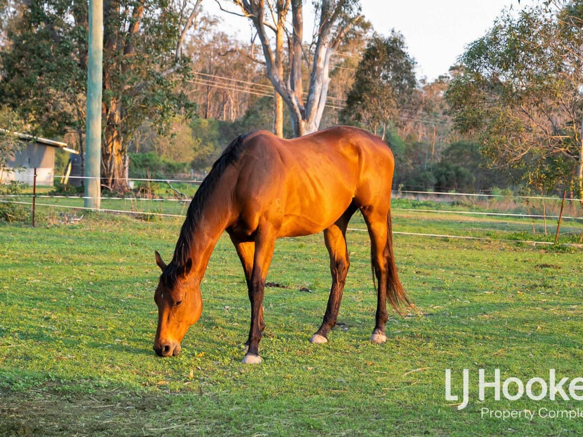 72-96 Tamborine Street, JIMBOOMBA - Thumbnail 8