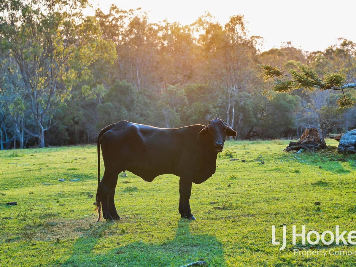 72-96 Tamborine Street, JIMBOOMBA - Thumbnail 16