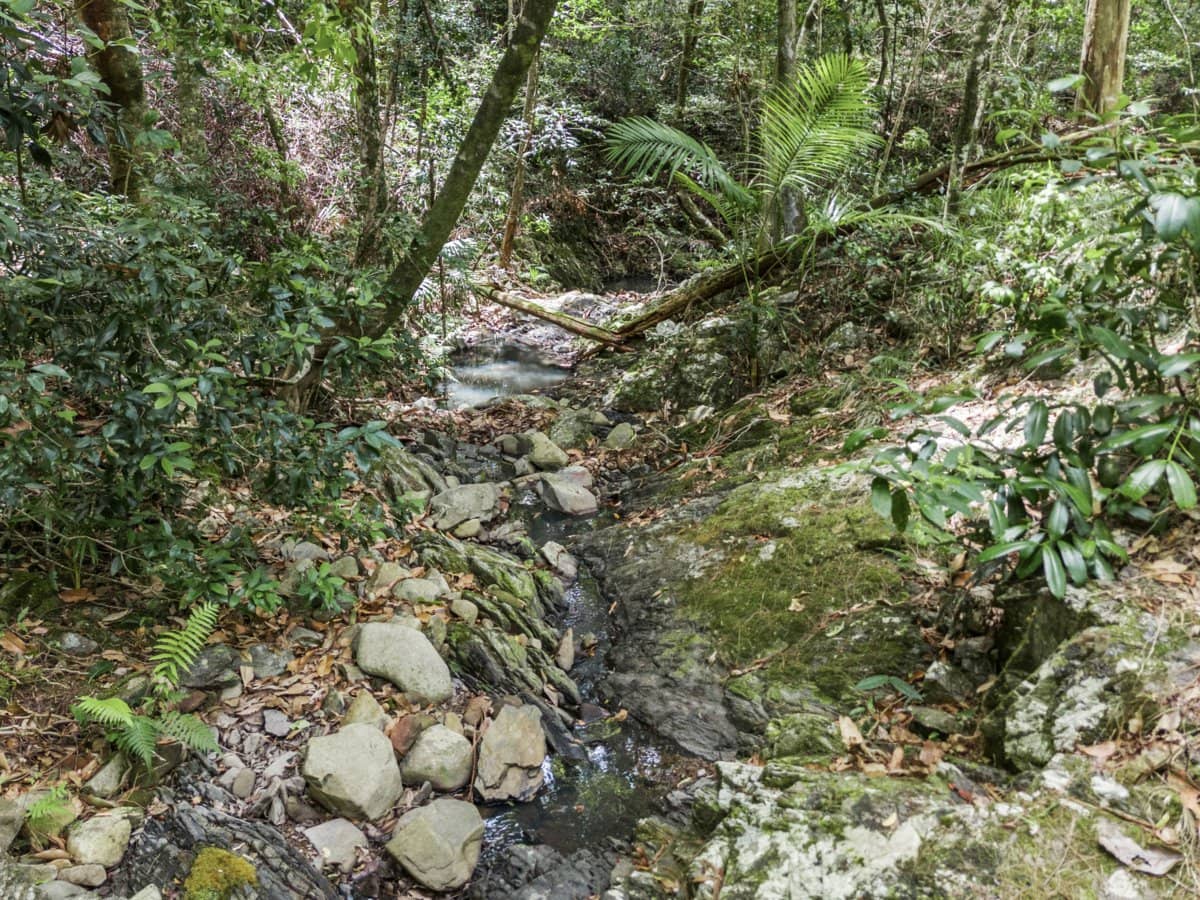 25 Tanaka Avenue, BONOGIN - Thumbnail 10