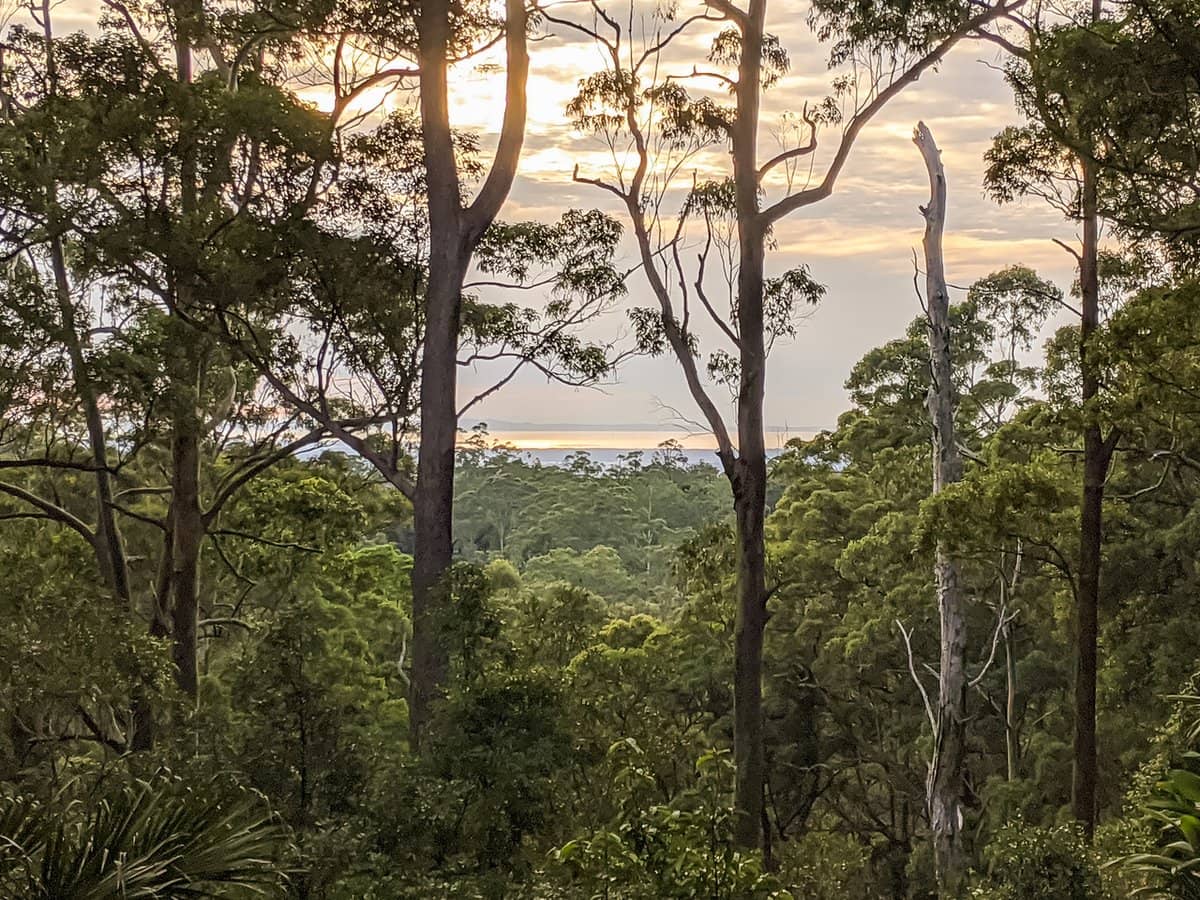 187 Forestry Road, Mount Nebo - Thumbnail 19