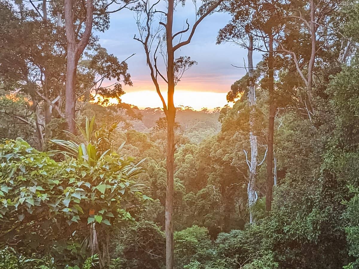 187 Forestry Road, Mount Nebo - Thumbnail 28